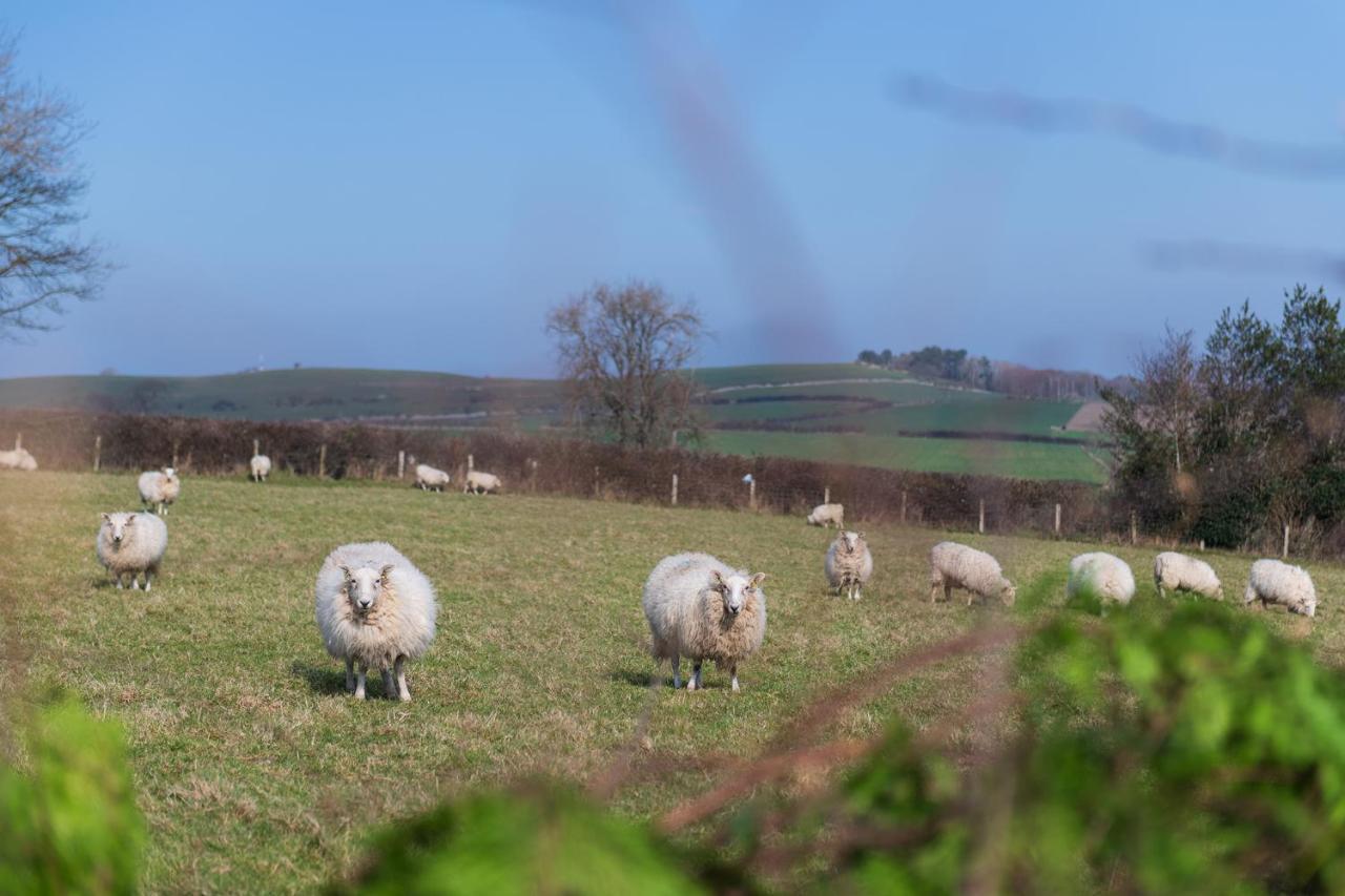 Beautiful Countryside Cottage On The North Wales Coast 애버갤리 외부 사진