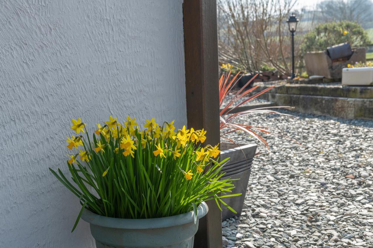 Beautiful Countryside Cottage On The North Wales Coast 애버갤리 외부 사진